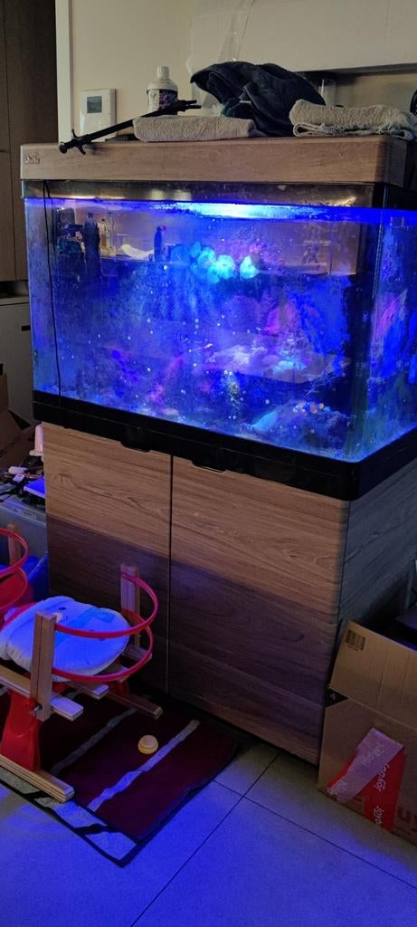 Red sea 250 met 2 clown vissen en x aantal coralen25 kg rock, Ophalen