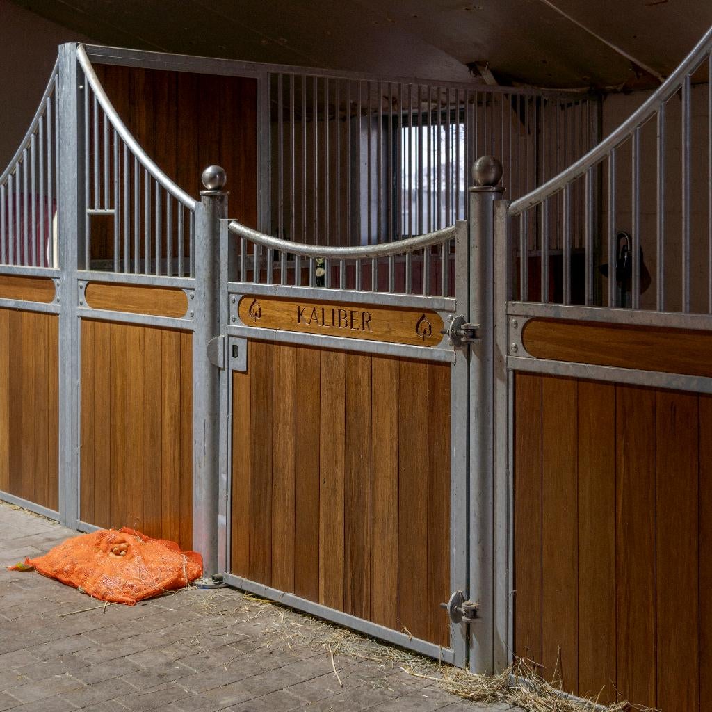 binnenboxen, Élevage