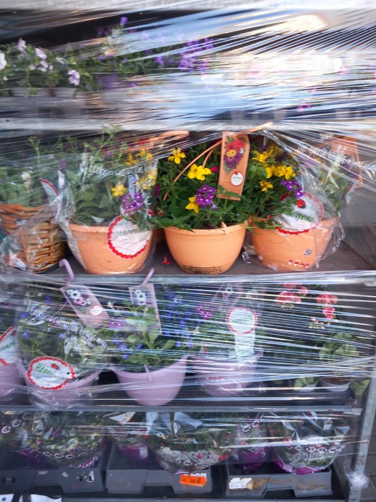 Transport de fleurs recherché deux fois par semaine de Bruxe, Livres, Enlèvement ou Envoi