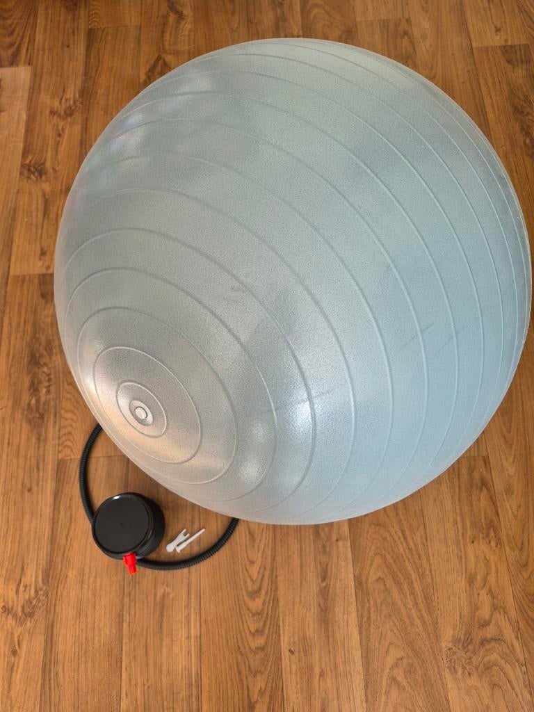 Gymbal van 55 cm, Sport en Fitness, Yoga en Pilates, Ophalen of Verzenden, Zo goed als nieuw, Overig