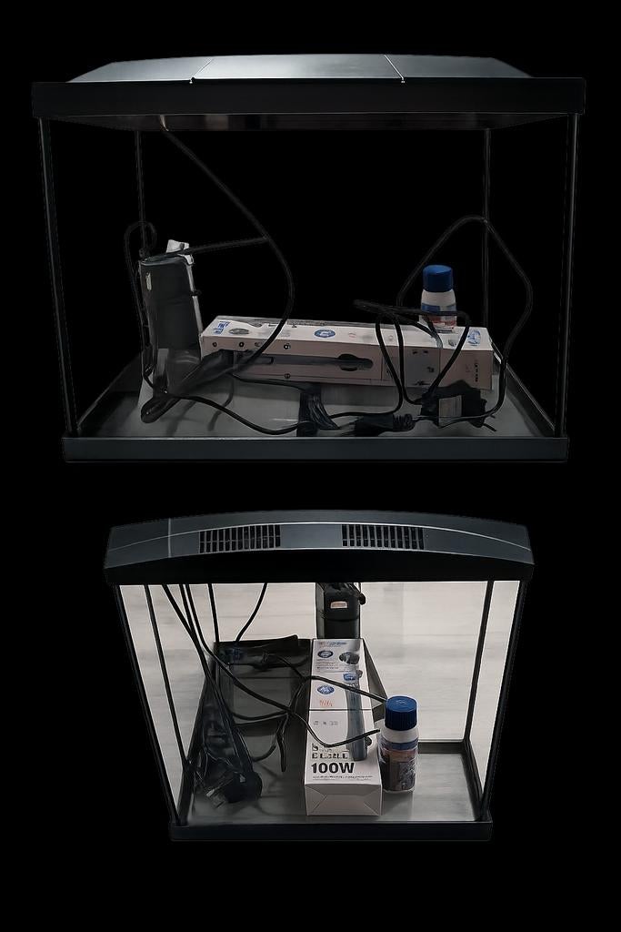 Aquarium, Enlèvement