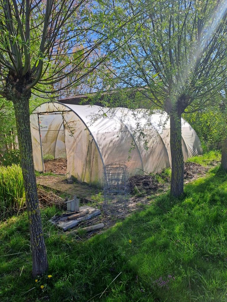 Tunnelserre, Gebruikt, Folie, Kweekkas, Ophalen