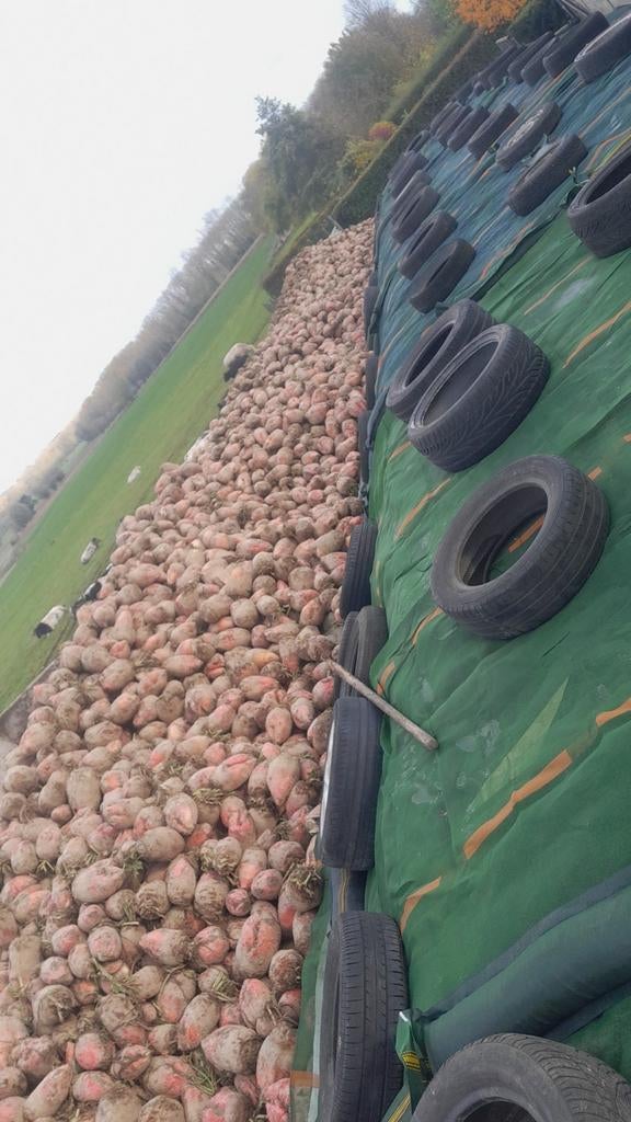 Stro mais bieten mks voordrooghooi