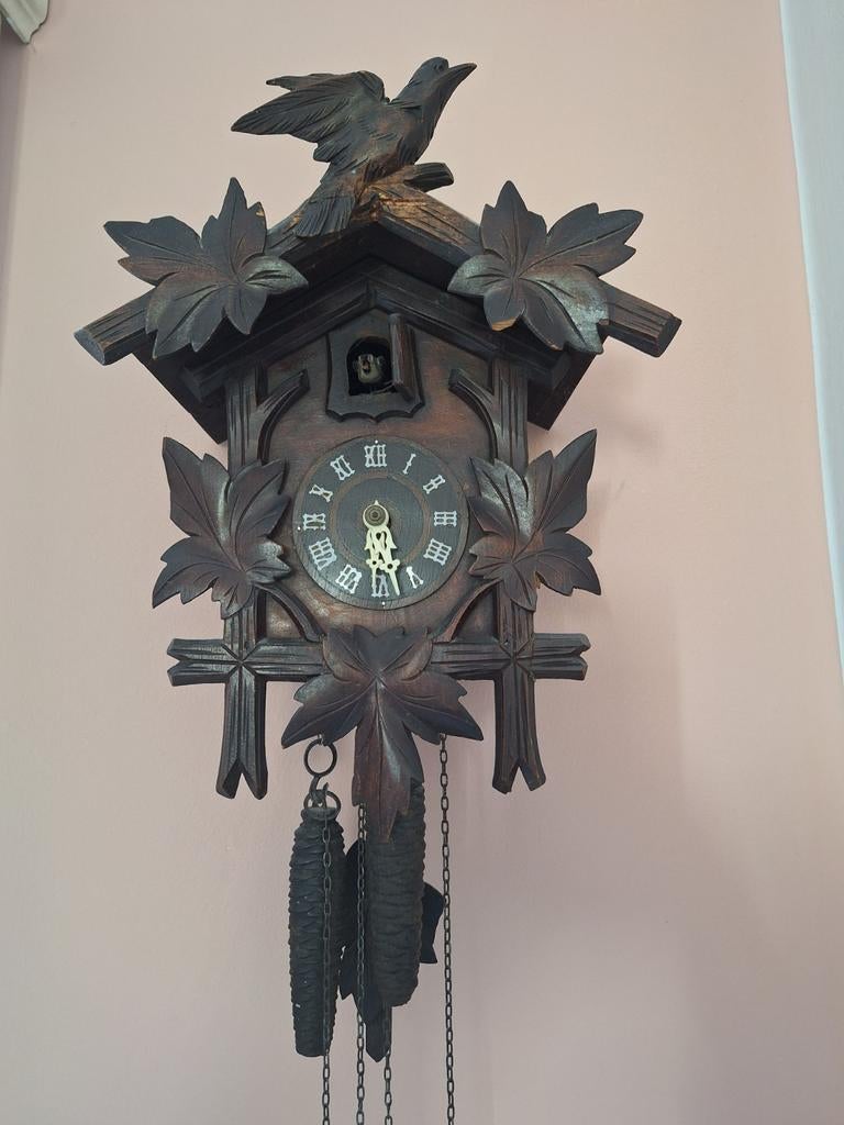 Koekoeksklok, Ophalen