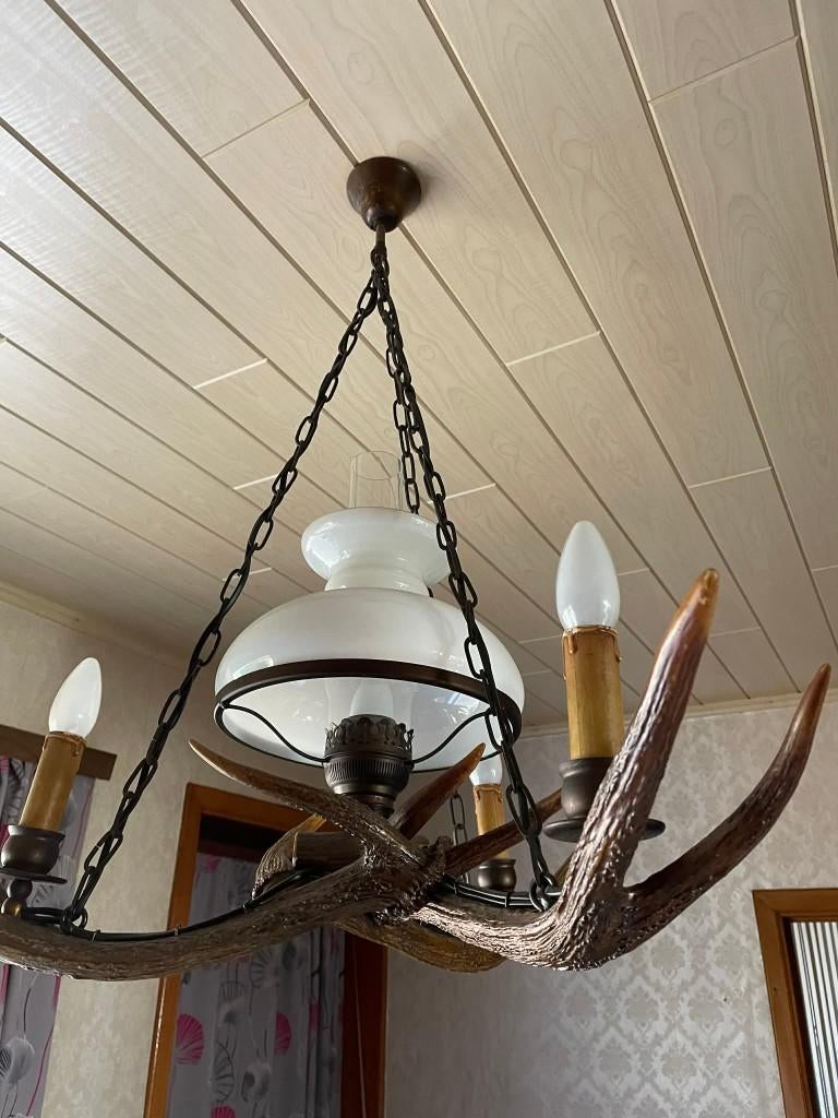 Lustre/lustre en bois de cerf authentique, Maison & Meubles, Lampes | Lustres, Utilisé, Enlèvement
