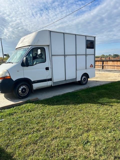 Renault paardencamionette te koop – B-rijbewijs, 2 paarden, Autres modèles, Achat, 2500 cm³, Boîte manuelle
