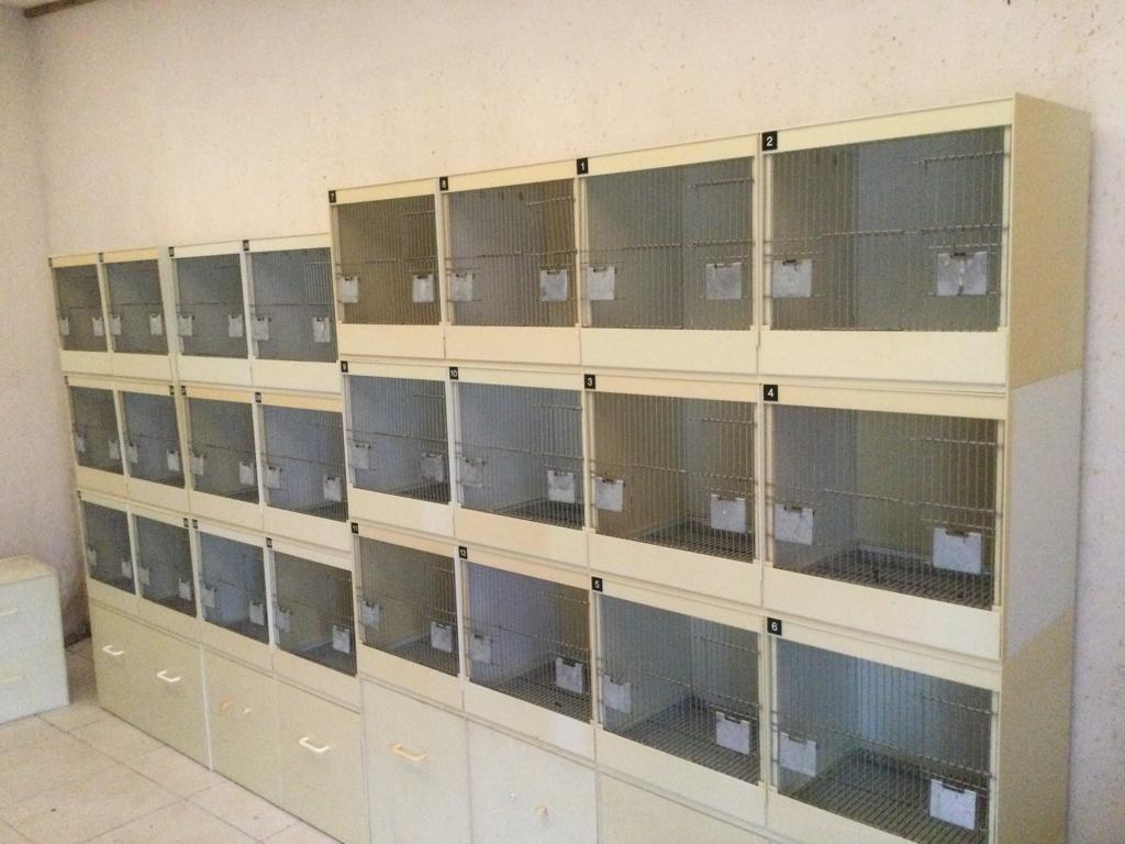 Kweekbakken, Ophalen, Gebruikt, Kunststof