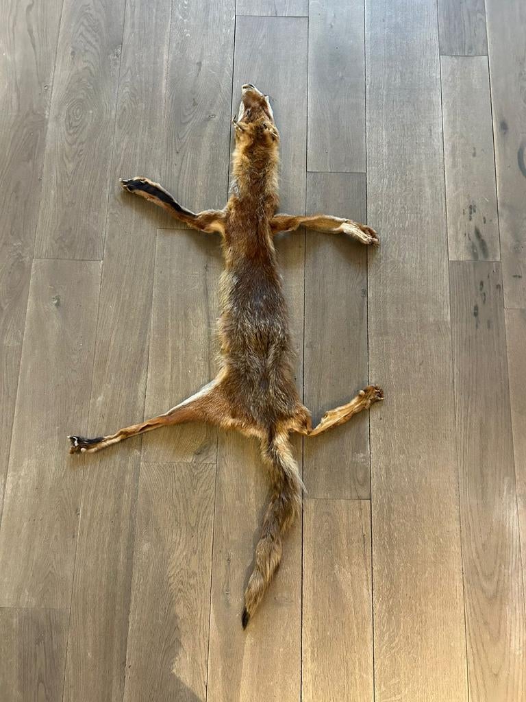 Echte pels van een vos, Ophalen