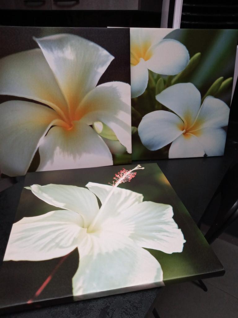 3 frames witte orchidee canvas print