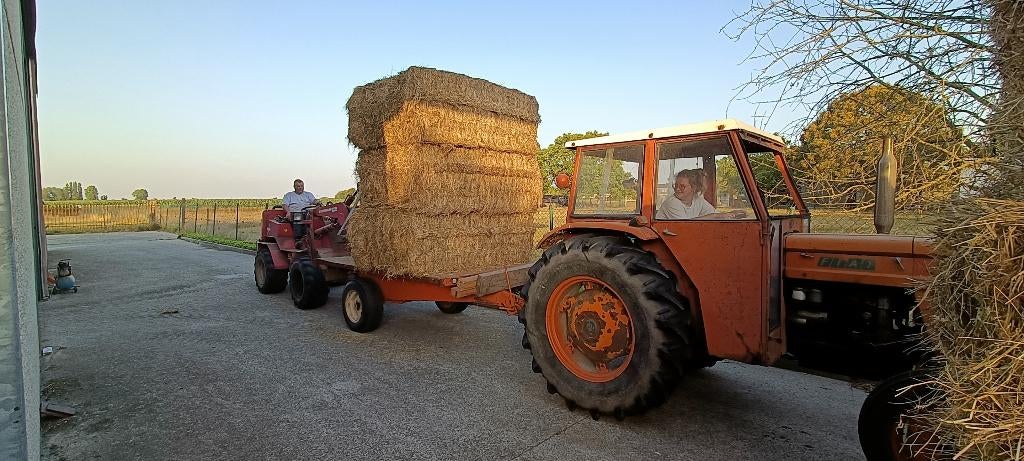 Hooi, Dieren en Toebehoren, Ophalen