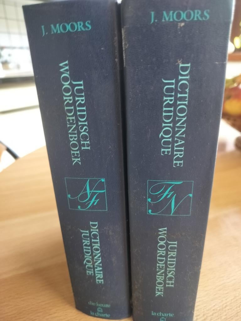 Juridisch woordenboek, Boeken, Ophalen of Verzenden, Gelezen