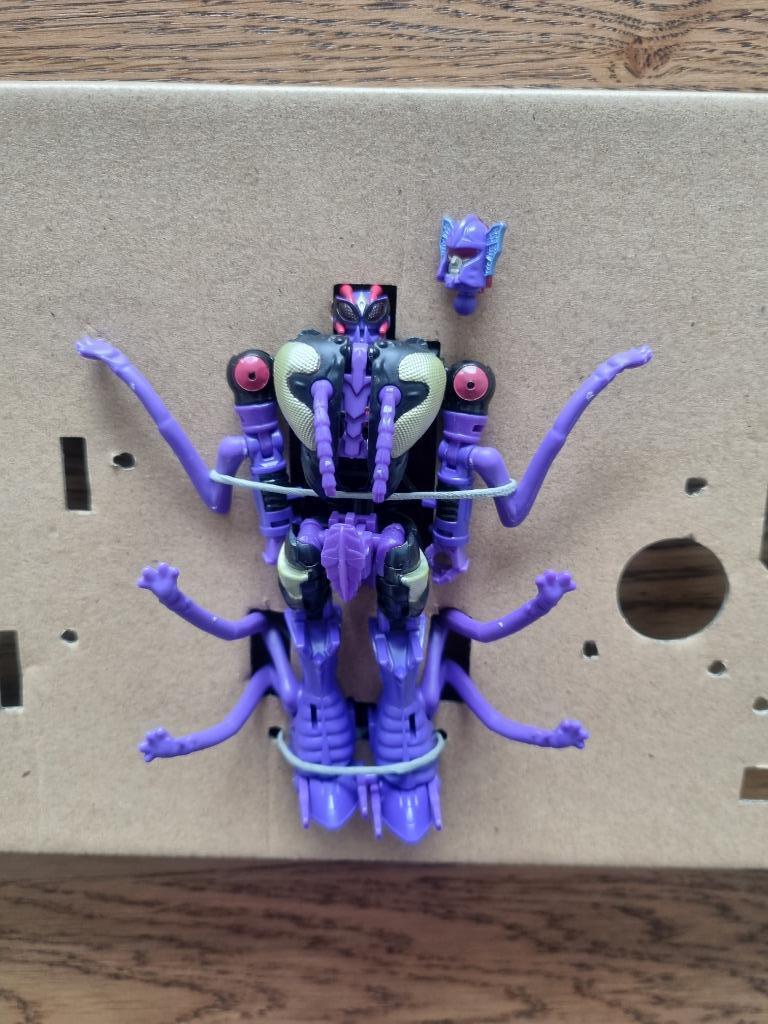 Transformers Legacy Skywasp Buzzworthy Bumblebee Beast Wars, Verzamelen, Transformers, Overige generaties, Ophalen of Verzenden