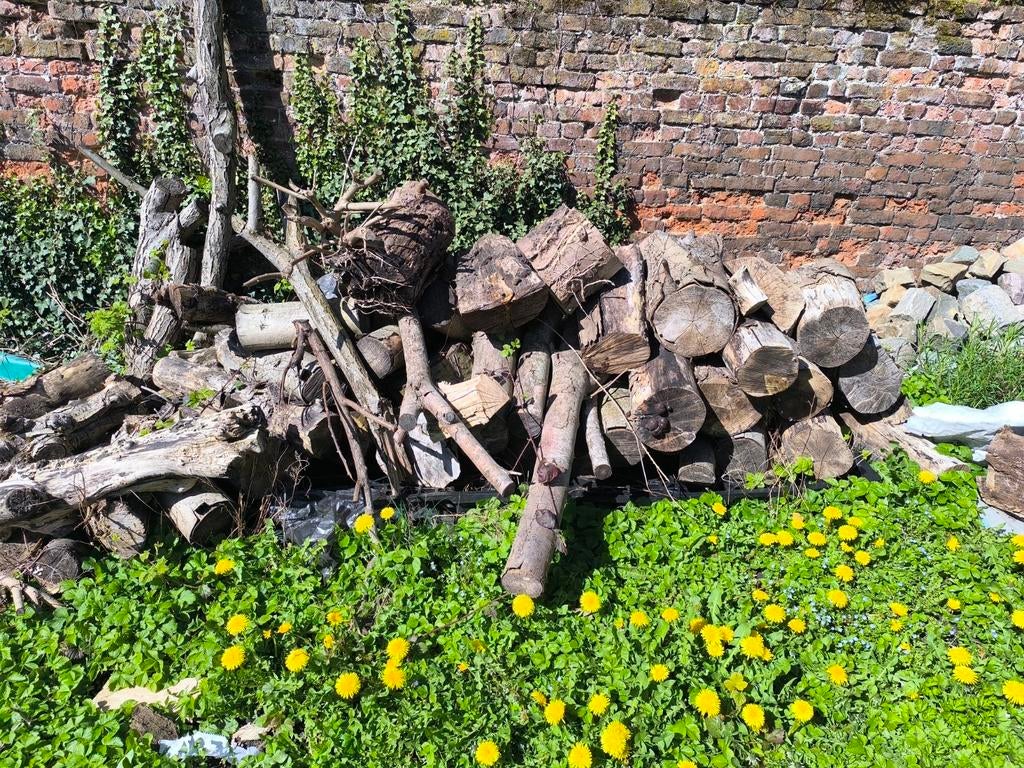 Bois non résineux A DONNER, Jardin & Terrasse, Enlèvement