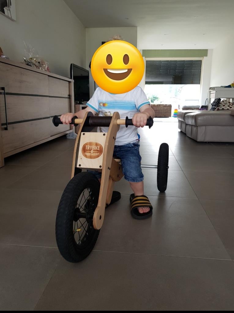 Trybike 2 of 3 wieler