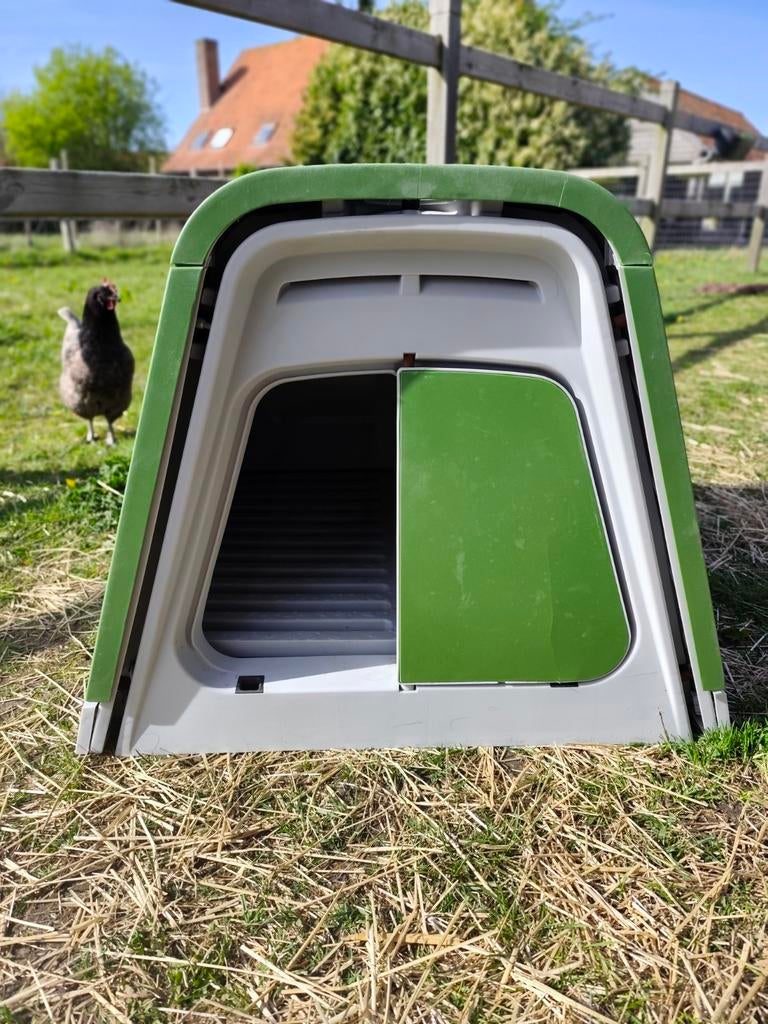 Omlet Eglu Go kippenhok – groen – netjes onderhouden, Dieren en Toebehoren, Ophalen