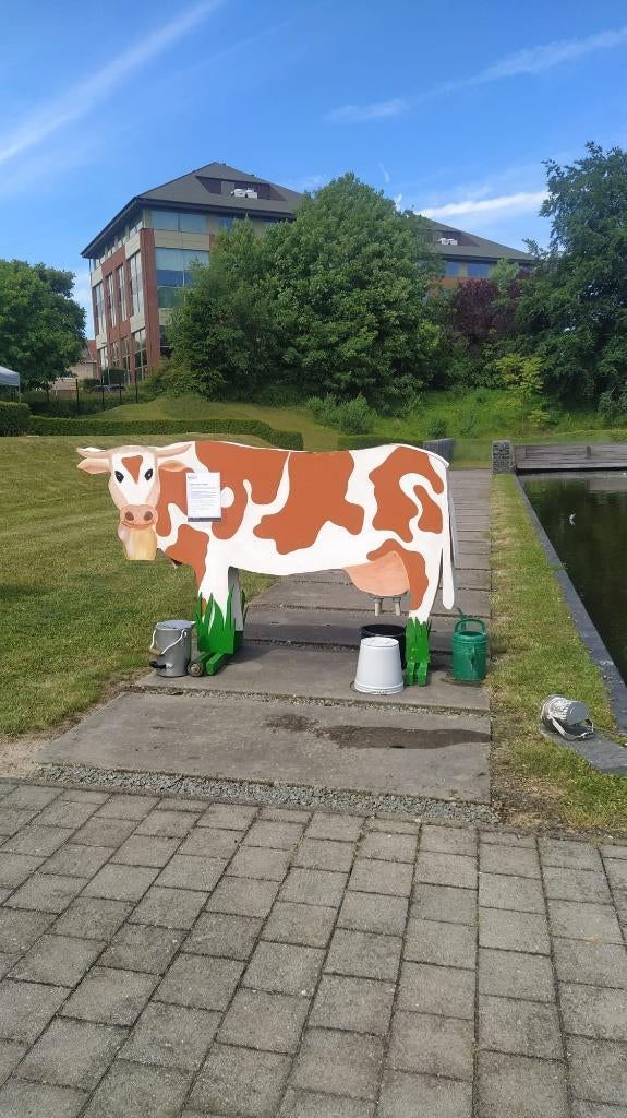 Vache à traire grandeur nature, Enlèvement ou Envoi, Utilisé, Découverte