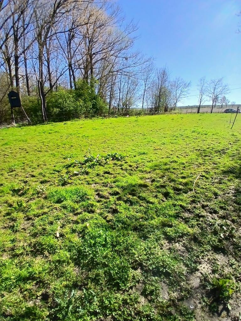 Weide te huur, Mise à l'étable