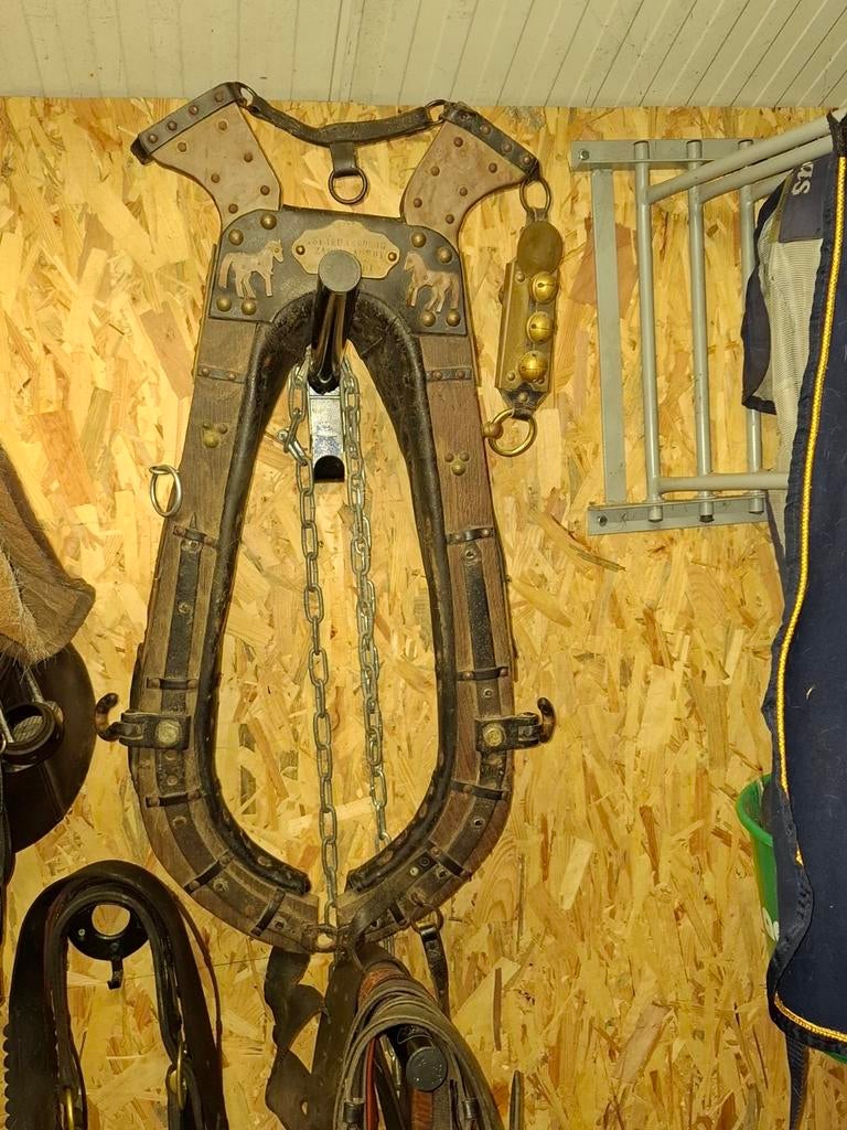 Haam, Dieren en Toebehoren, Ophalen, Gebruikt, Overige soorten