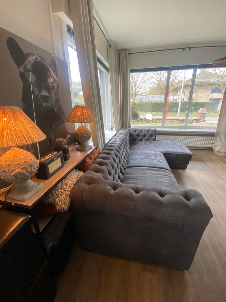 Salon, Enlèvement, Utilisé, Tissus, Gecapitoneerd