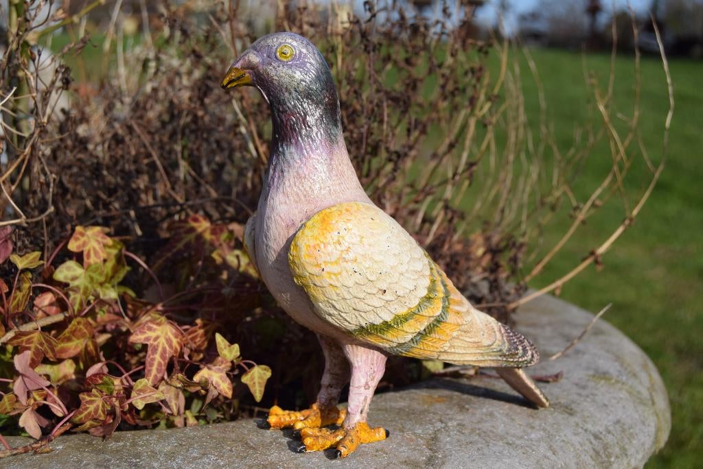 PIGEON EN FONTE PATINEE POLYCHROME, Enlèvement ou Envoi, Neuf