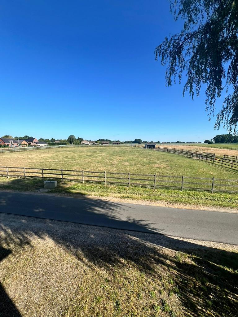 Weidegang te Bree, Weidegang