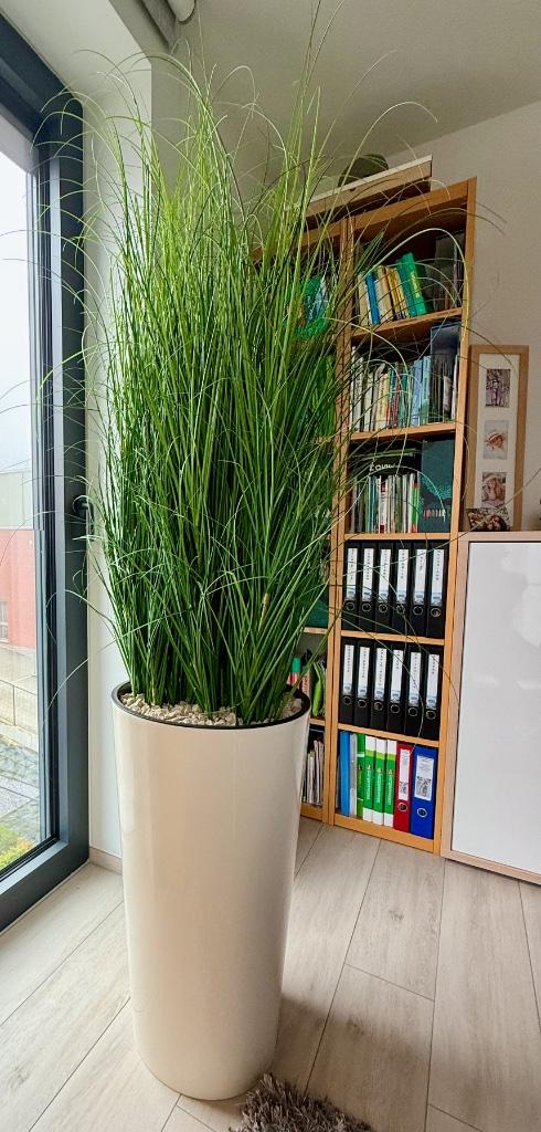 Sierplant/Kunstplant met design pot 190cm hoog als nieuw, Ophalen, Nieuw, Kunstplant, Binnen