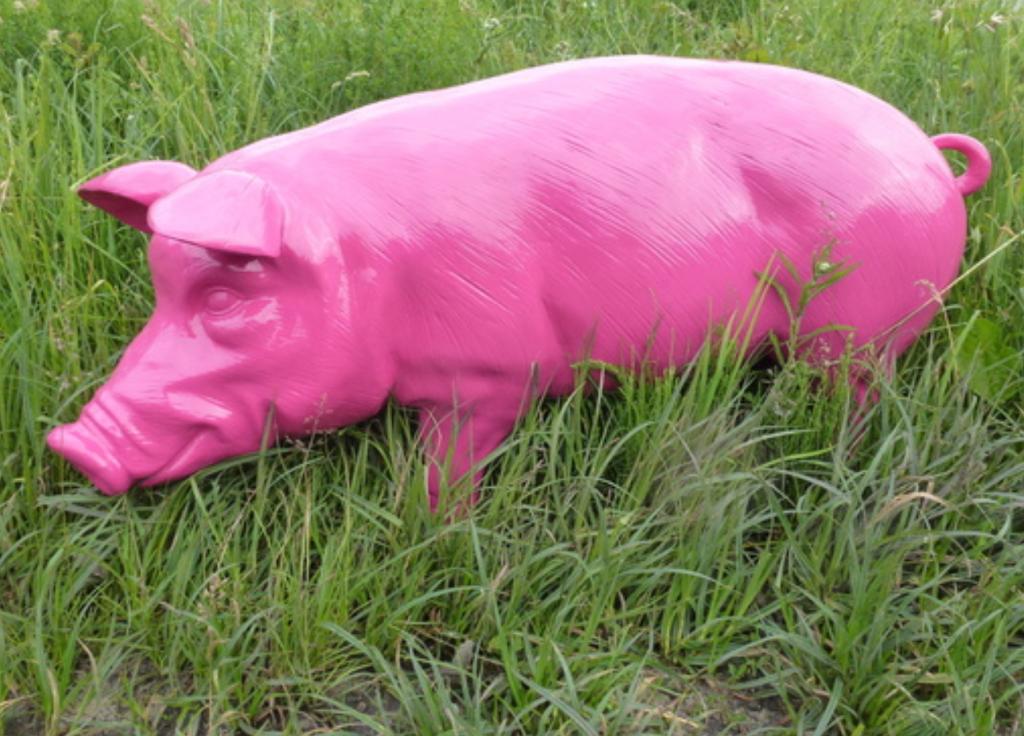 varken op ware grootte kunstbeeld, Tuin en Terras, Tuinbeelden, Nieuw, Dierenbeeld, Kunststof, Ophalen of Verzenden