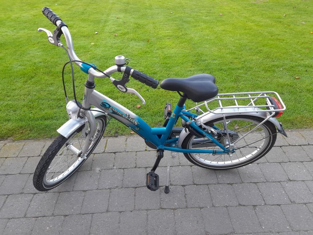 Meisjesfiets (golden lion), Enlèvement