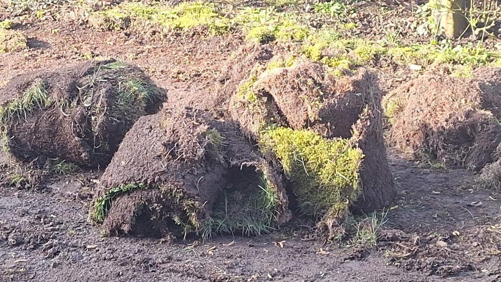 Gratis moszoden met grond, Enlèvement