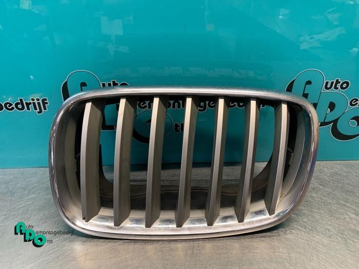 Grille van een BMW X5 (X5 07-) (NVT), Auto-onderdelen, Gebruikt, -, -, Ophalen of Verzenden