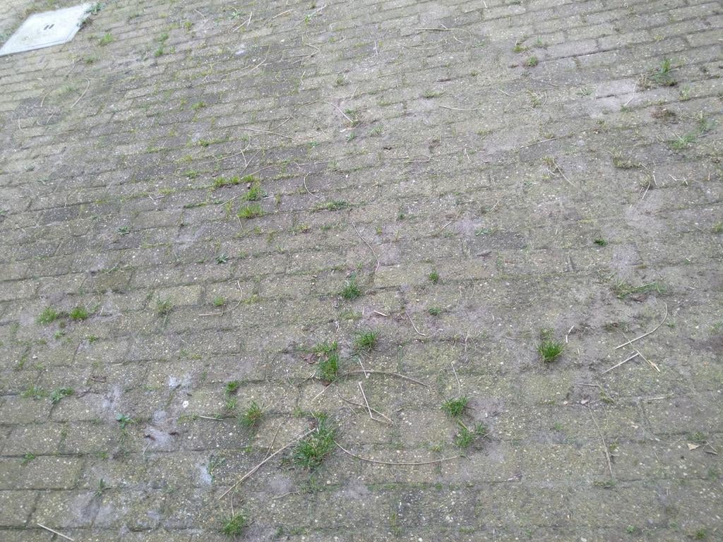 Rode betonklinkers gratis, Enlèvement, Utilisé, Béton, Briques