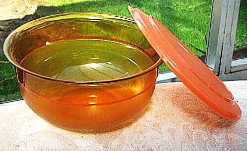 Tupperware beau plat , teinte cannelle, Maison & Meubles, Enlèvement ou Envoi, Neuf, Orange, Récipient ou Bol
