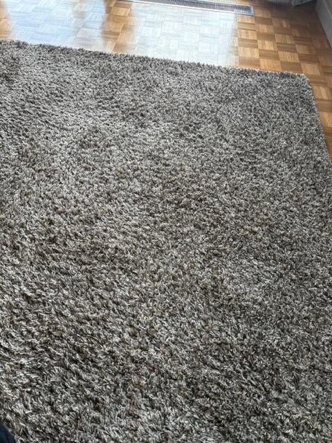 Grote grijsbruine vloerkleden (Gratis), Ophalen, Gebruikt, Grijs, 200 cm of meer