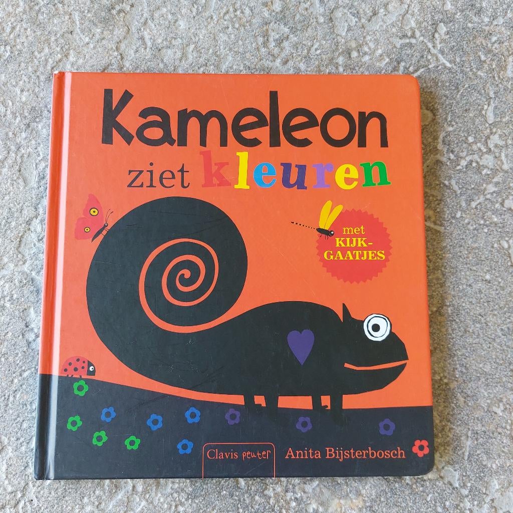 kinderboek Kameleon ziet kleuren met kjkgaatjes, Boeken, Ophalen of Verzenden