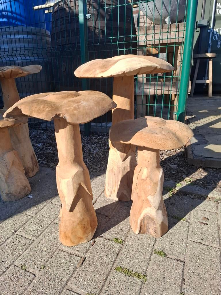 Teak houten paddestoelen set! Super decoratief! Grote maat!, Tuin en Terras, Ophalen