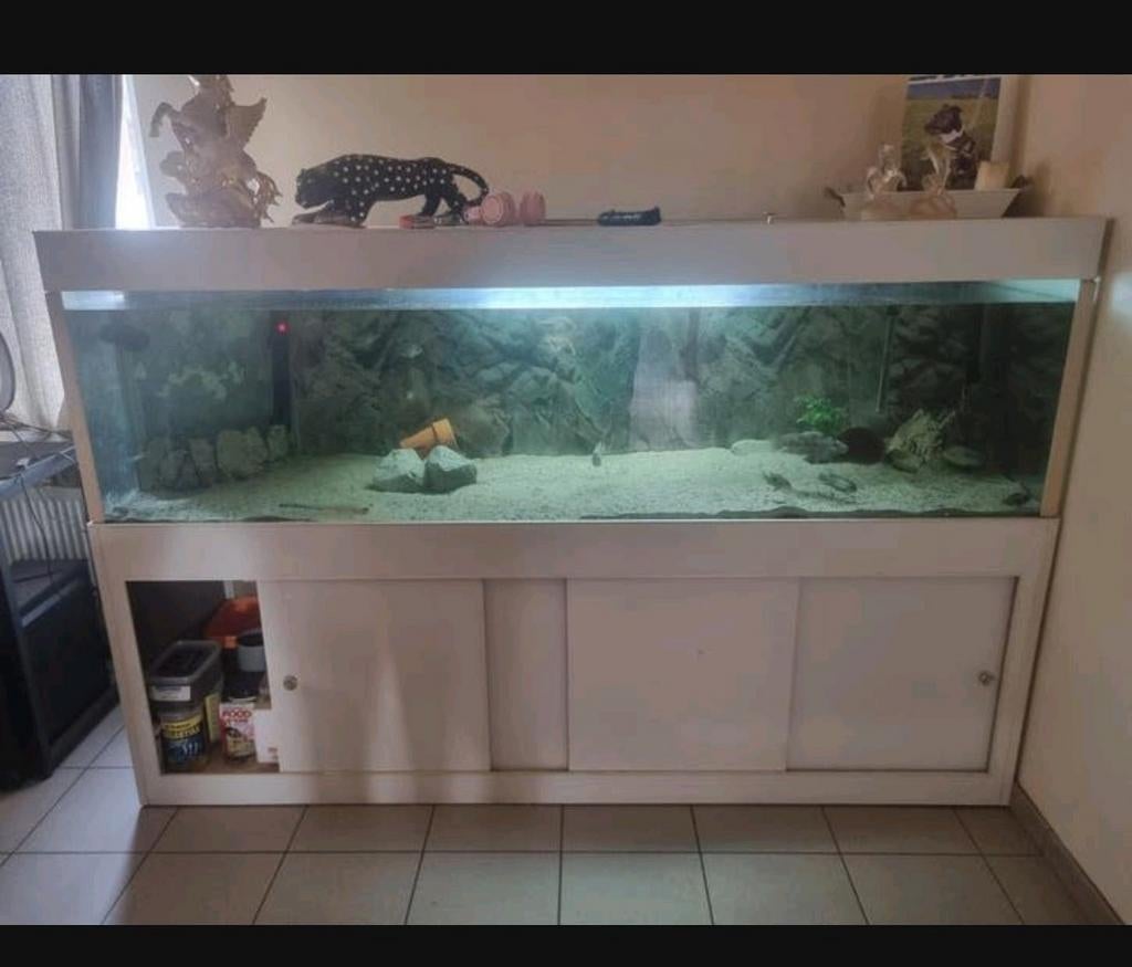 Speciaal gemaakt 2m aquarium., Enlèvement