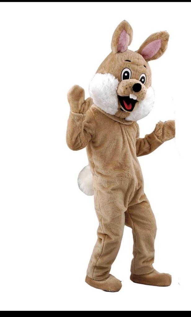 Costume lapin mascotte Pâques déguisement, Diversen, Ophalen, Nieuw