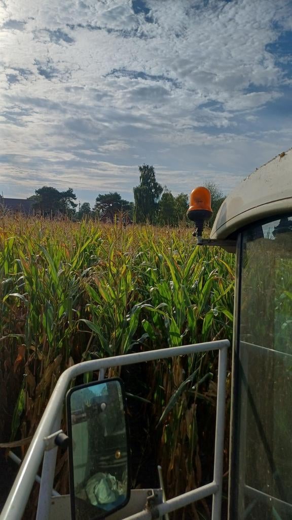 Mais kuilmais, Zakelijke goederen, Landbouw | Veevoer, Ophalen