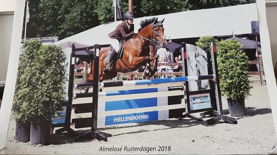 Zz springpony halve stal /verzorgpony / leasepony in Maaseik, Dieren en Toebehoren, Pony's, ZZ, Met stamboom, Ruin, 11 jaar of ouder