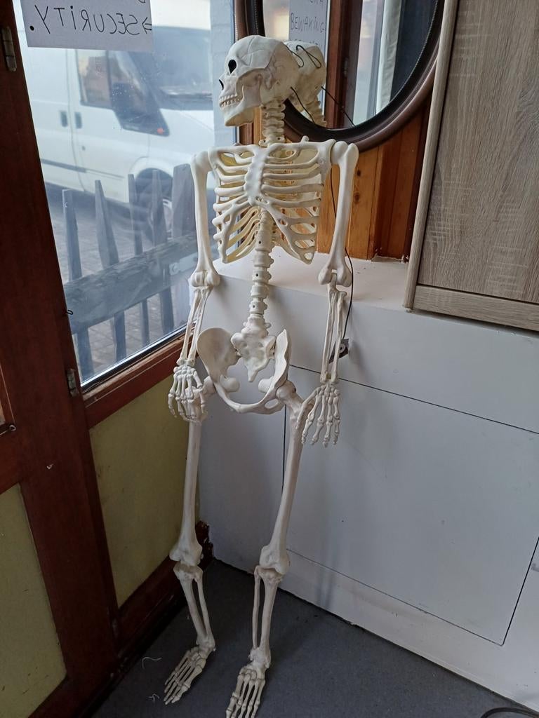 Te koop skelet compleet, Enlèvement