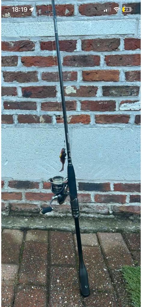 Savage Gear hengel (SG8) met Molen TE KOOP!!, Ophalen, Zo goed als nieuw, Molen