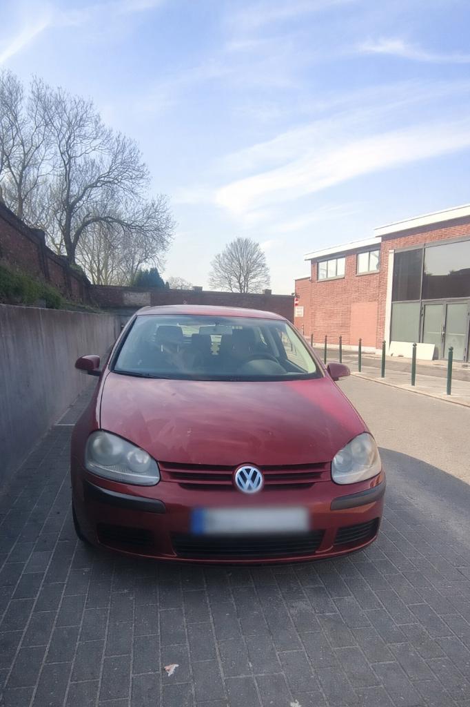 Volkswagen Golf 5  1.6 FSI 2005, Auto's, Volkswagen, Stof, Handgeschakeld, Grijs, Euro 4