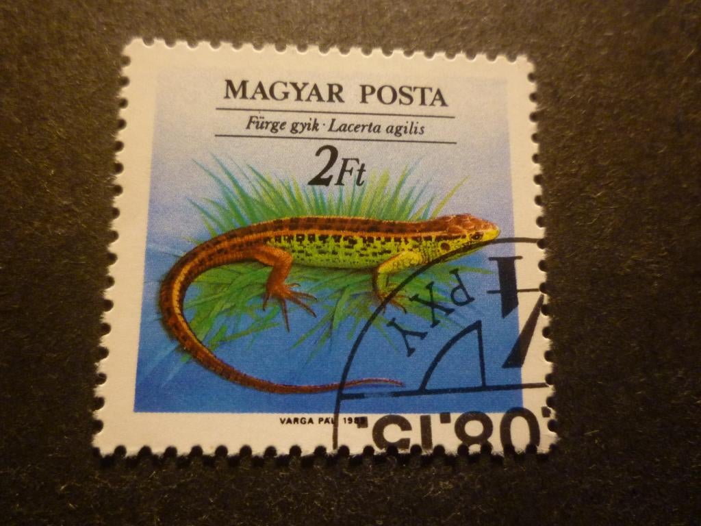 Hongarije/Hongrie 1989 Mi 4035A(o) Gestempeld/Oblitéré, Verzenden