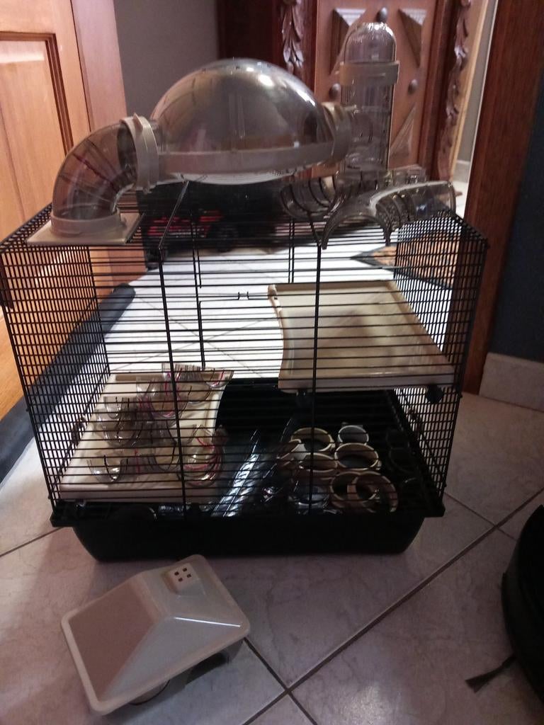 Hamsterkooi met toebehoren, Dieren en Toebehoren, Knaagdieren en Konijnen | Hokken en Kooien, Ophalen