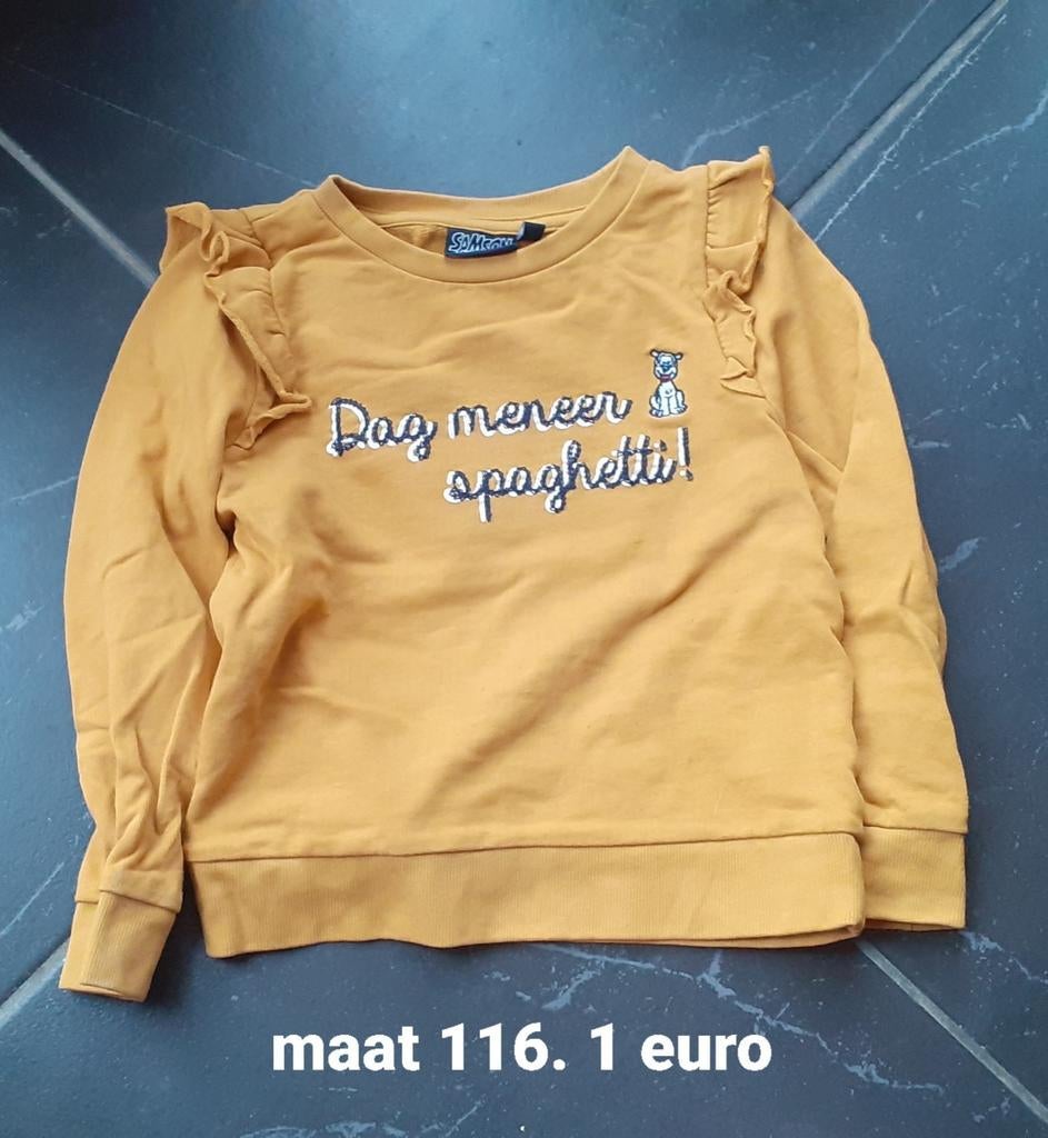 Truien winter meisjes maat 116. 1 euro stuk, Enlèvement ou Envoi, Utilisé