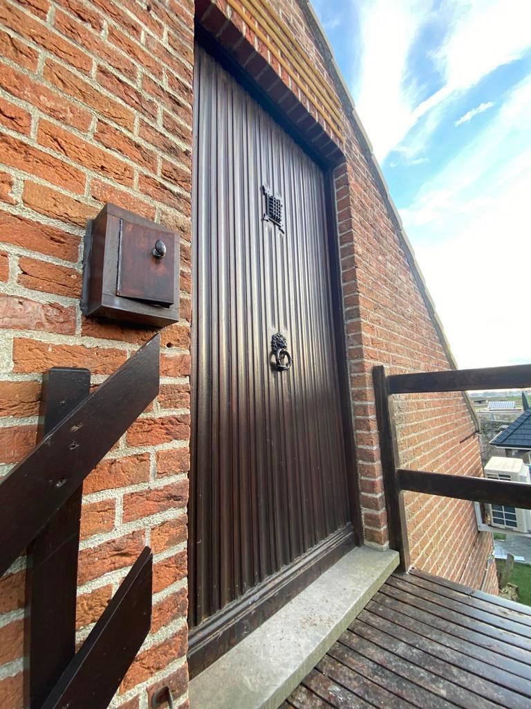 Porte d'entrée en bois massif, Bricolage & Construction, Enlèvement, Utilisé