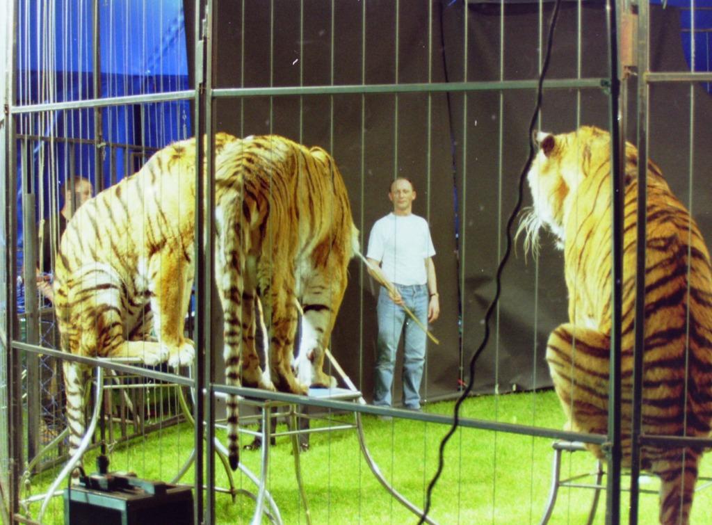 WILL TURA  méééér dan 8.000 collector items, Ophalen, Zo goed als nieuw, Overige formaten, Overige genres