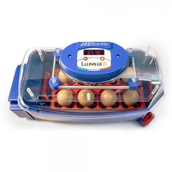 Borotto Lumia 8 + gratis broedeieren (nieuw), Dieren en Toebehoren, Ophalen of Verzenden, Nieuw, Broedmachine