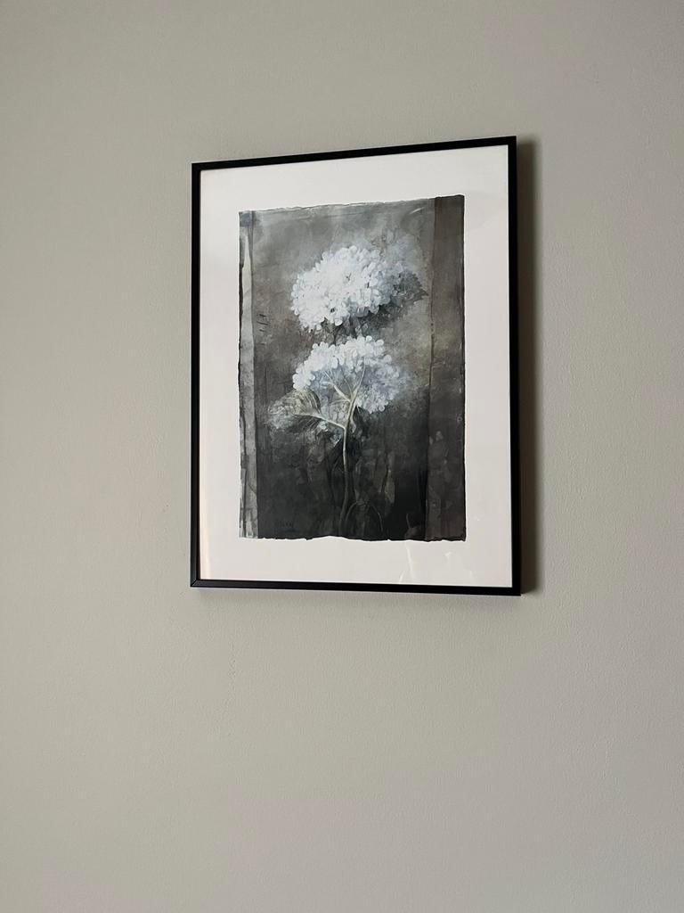 Poster / print pedro cano, Ophalen