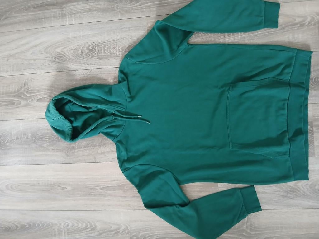 Groene hoodie maat L mannen, Vêtements | Hommes, Pulls & Vestes, Enlèvement ou Envoi, Vert, Taille 52/54 (L), Comme neuf